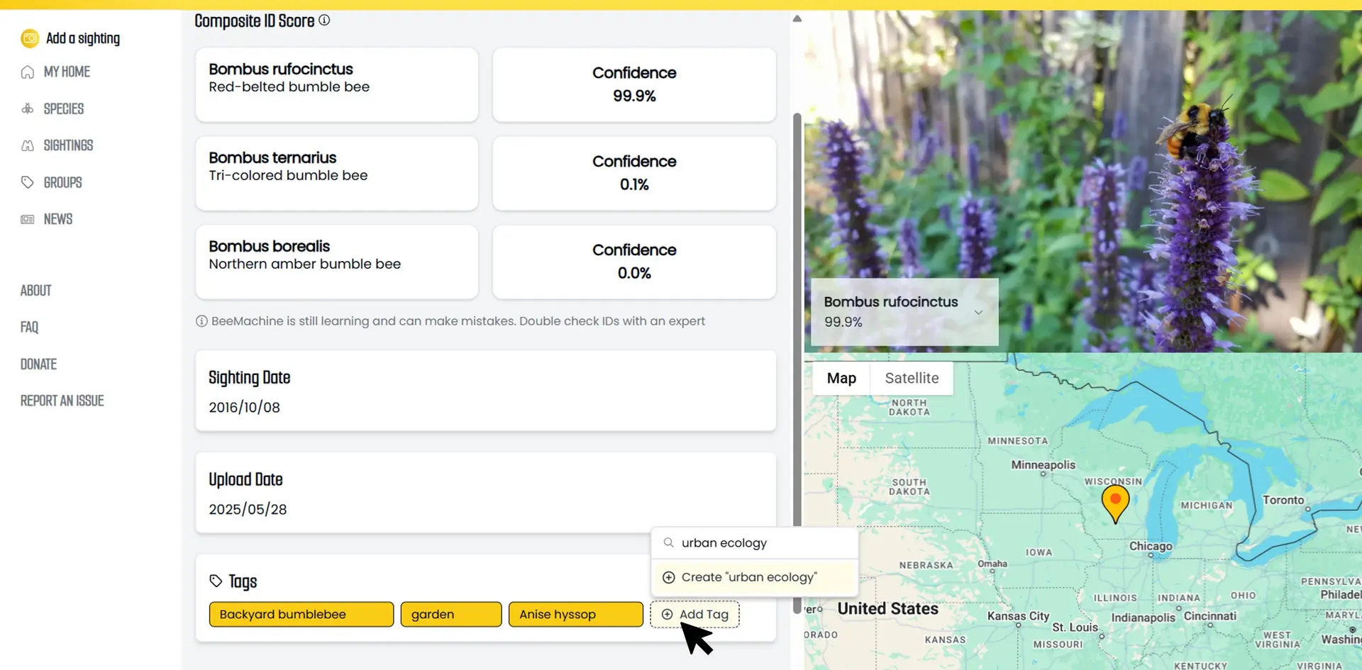 Adding tags to a sighting